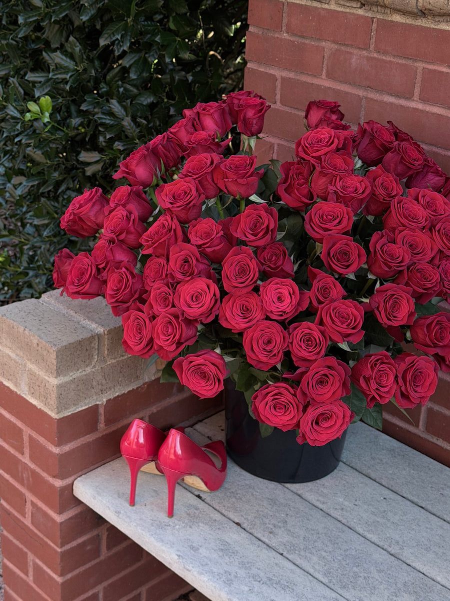 75 Premium Red Roses
