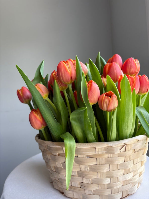 Spring Tulip Basket