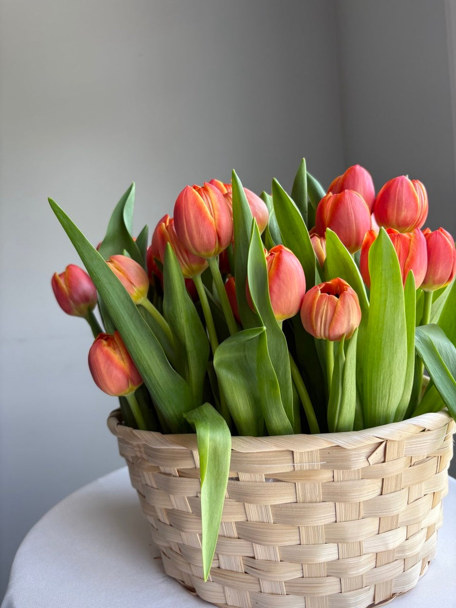Spring Tulip Basket
