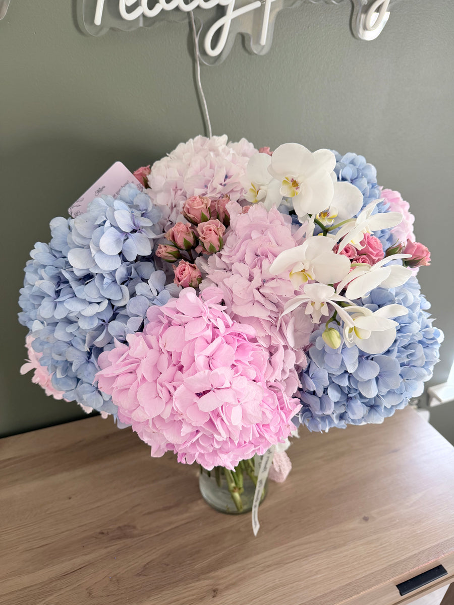 Cotton Candy