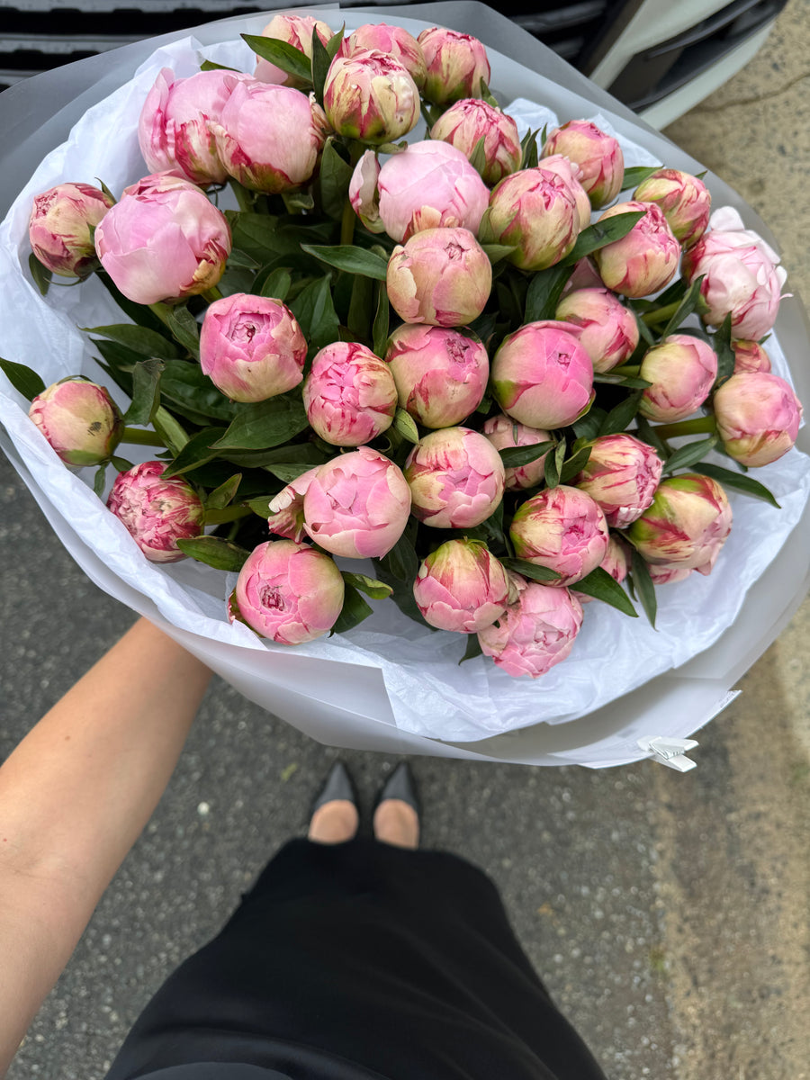 Pink Peony Bliss