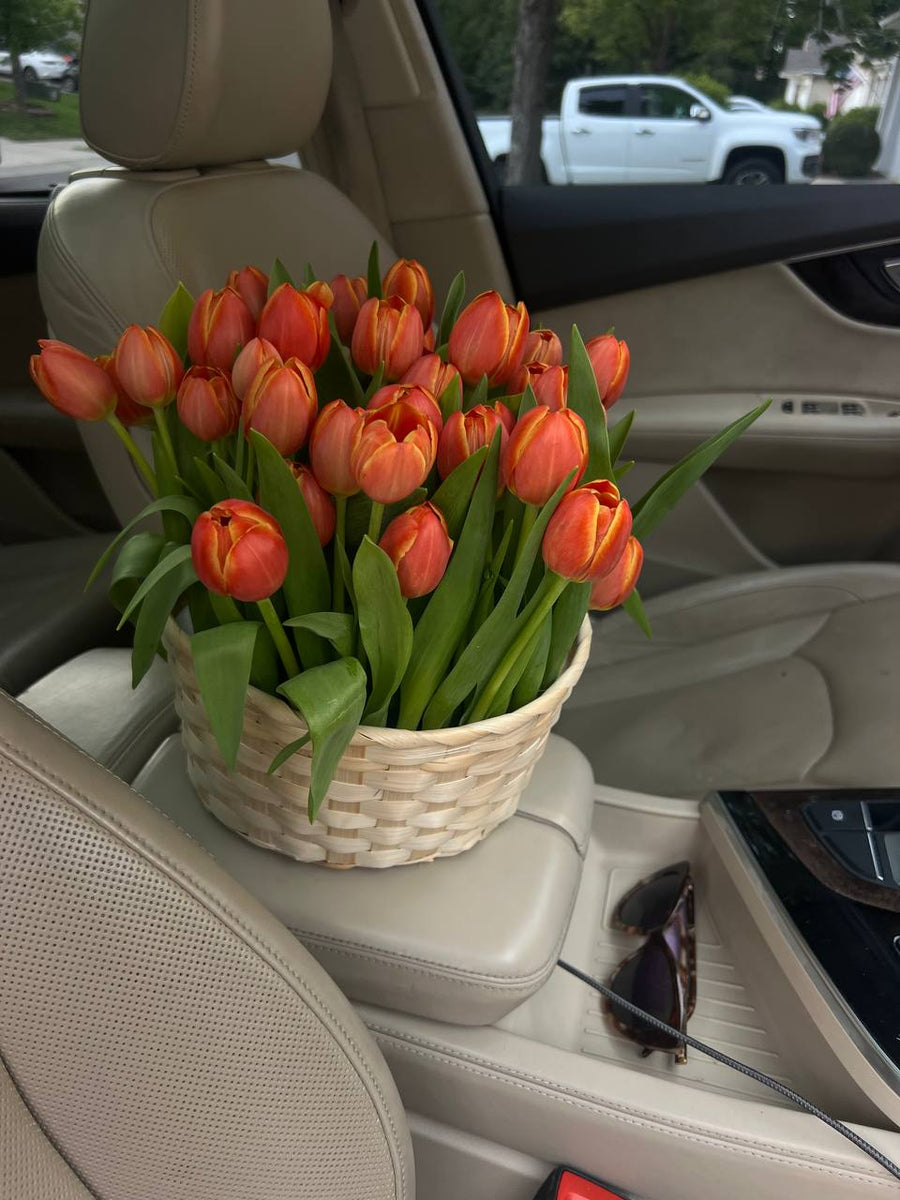 Spring Tulip Basket