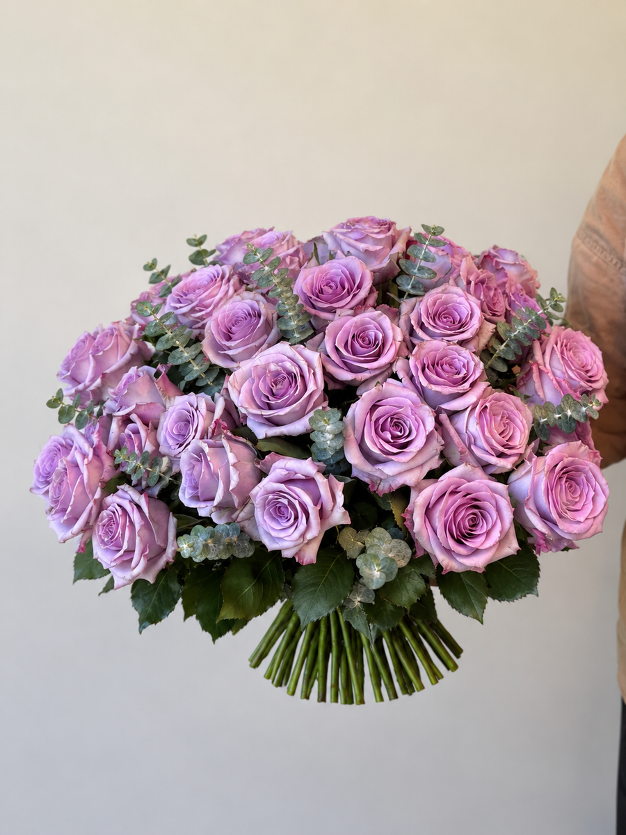 Lilac Dream